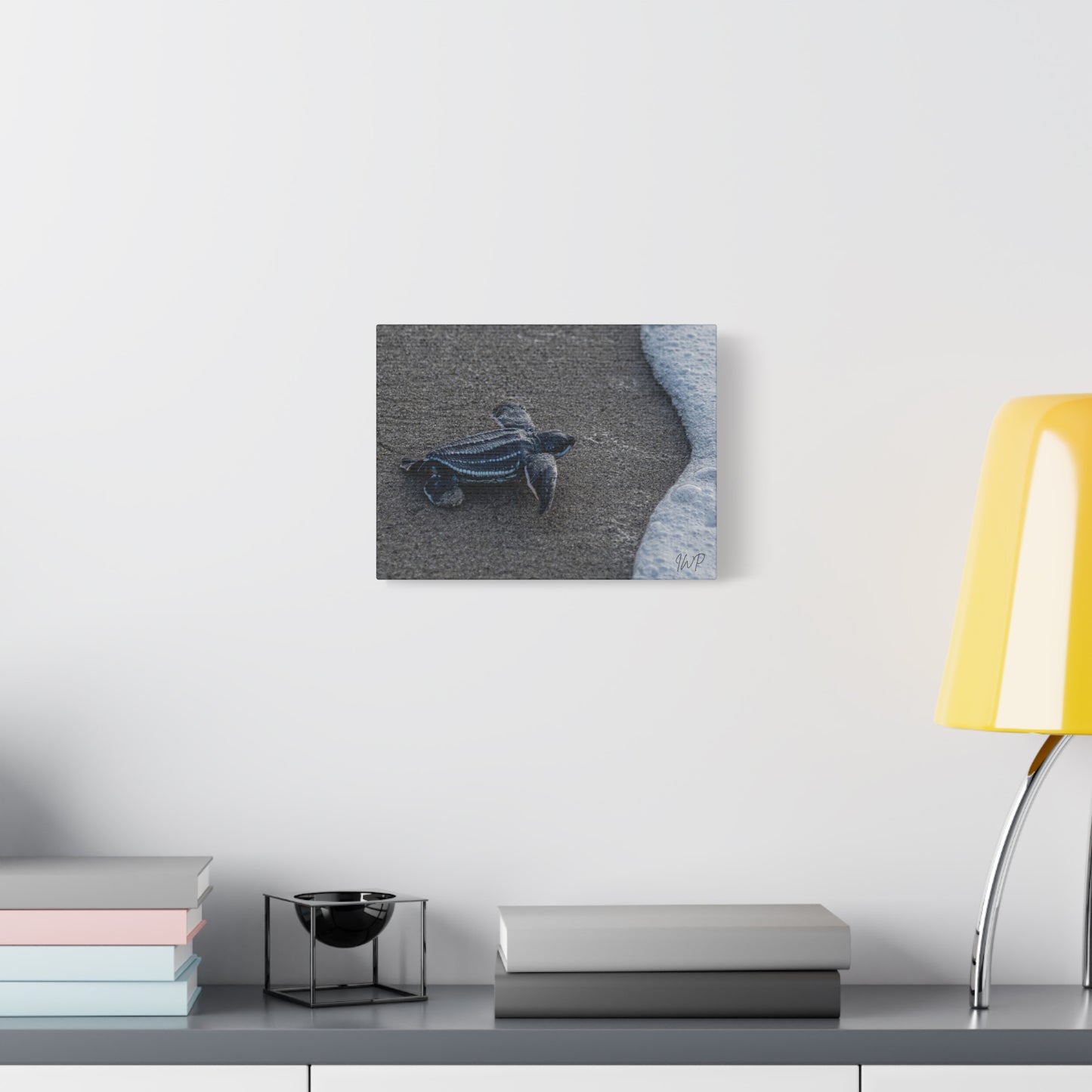 Baby Leatherback Turtle Canvas