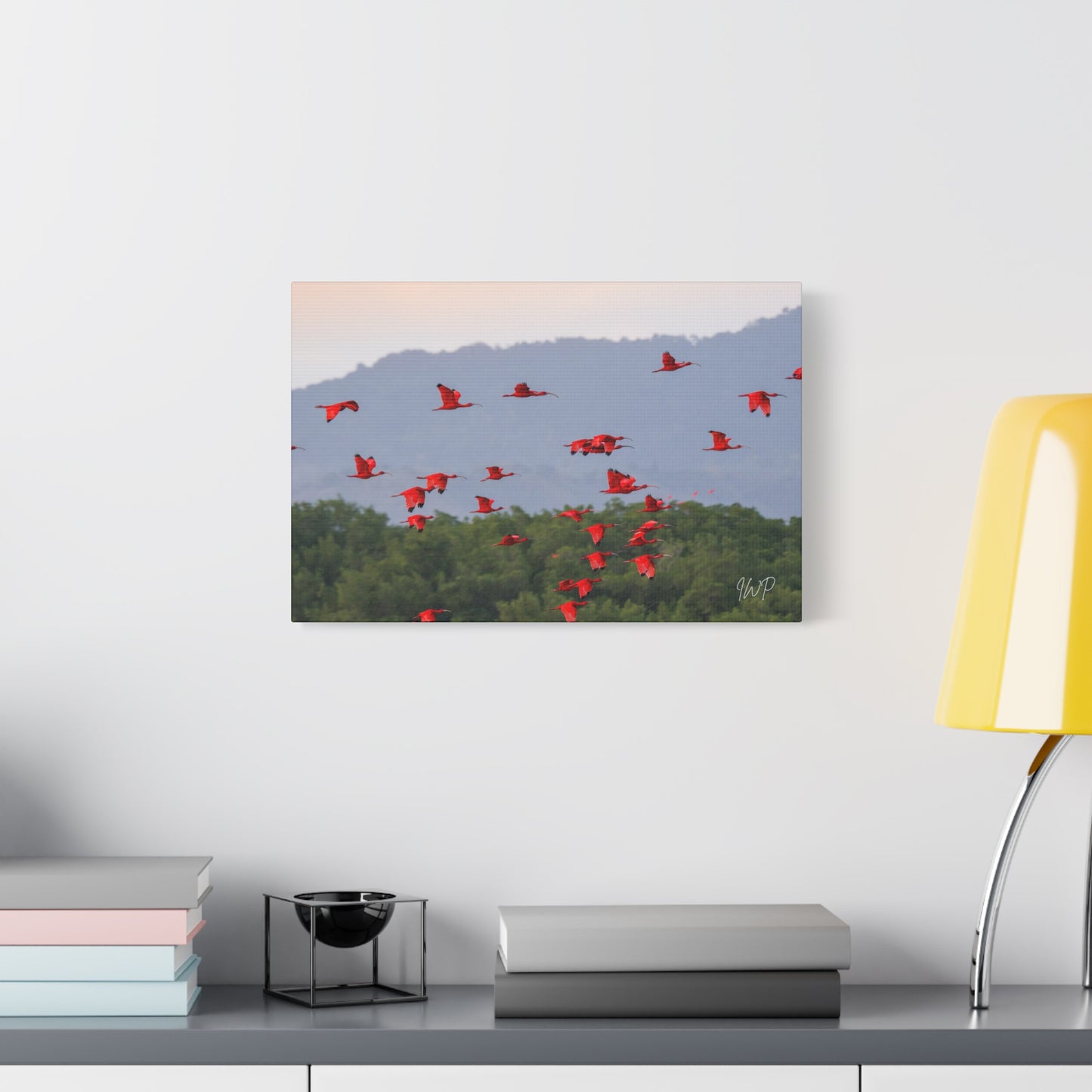 Scarlet Ibis Canvas