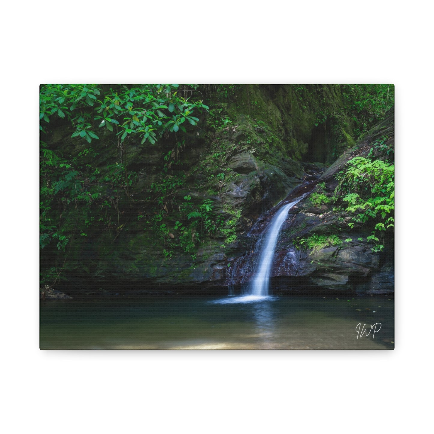Zorro Waterfall Canvas