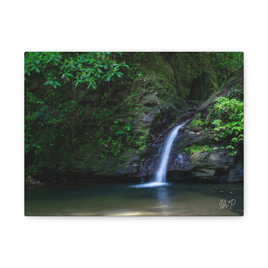 Zorro Waterfall Canvas