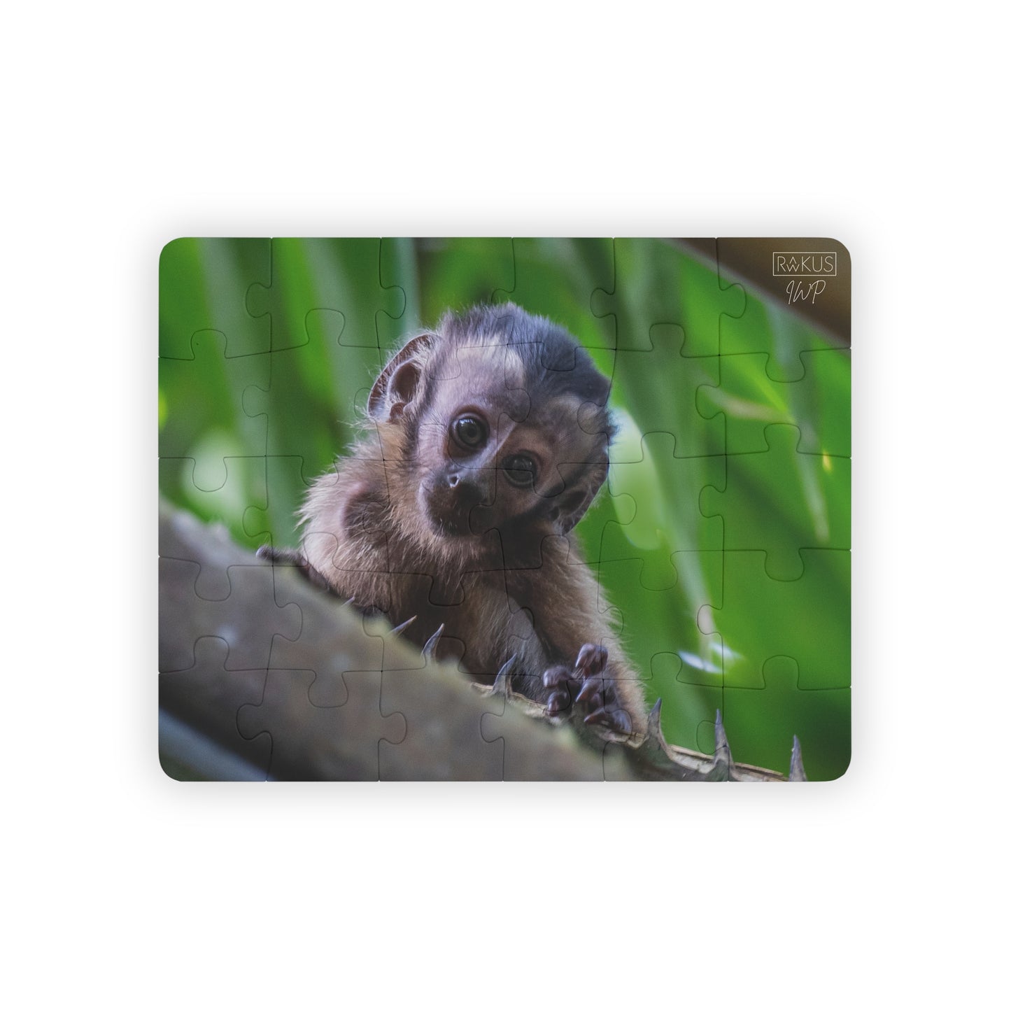 Kids' Capuchin Monkey Puzzle
