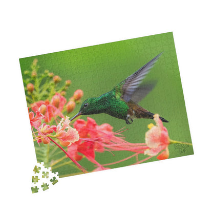 Hummingbird Puzzle
